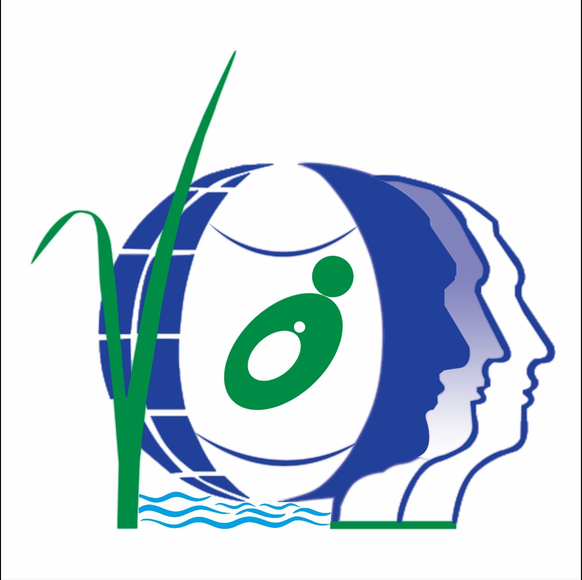 Dhan foundation