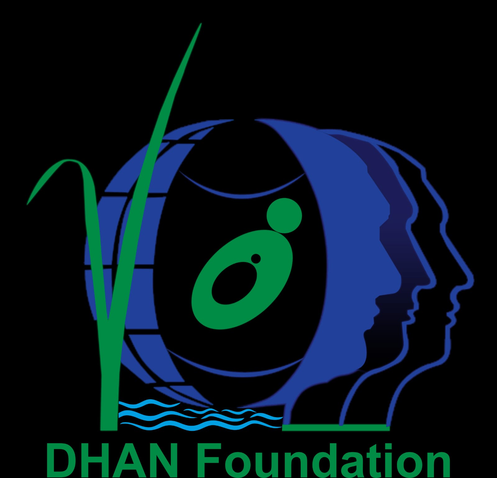 Dhan foundation