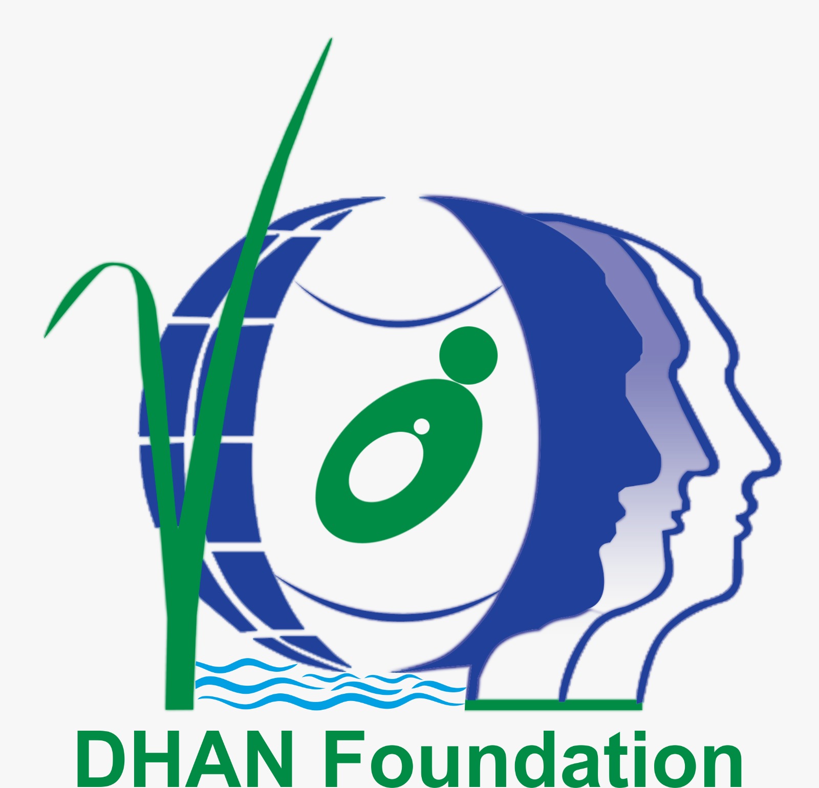 Dhan foundation